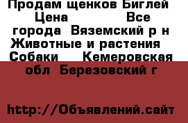 Продам щенков Биглей › Цена ­ 15 000 - Все города, Вяземский р-н Животные и растения » Собаки   . Кемеровская обл.,Березовский г.